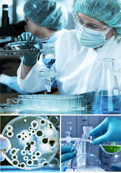 Absorption Technology